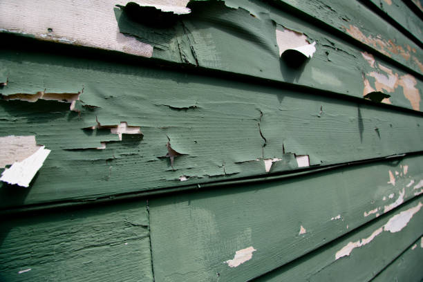 Same-Day Junk Removal Services in Youngstown, NY