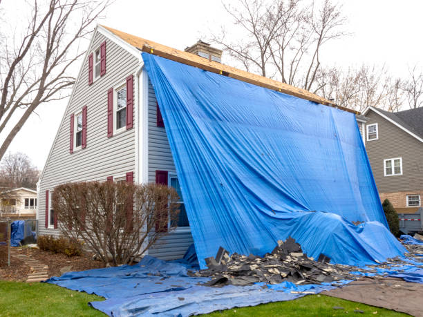 Best Basement Cleanout  in Youngstown, NY